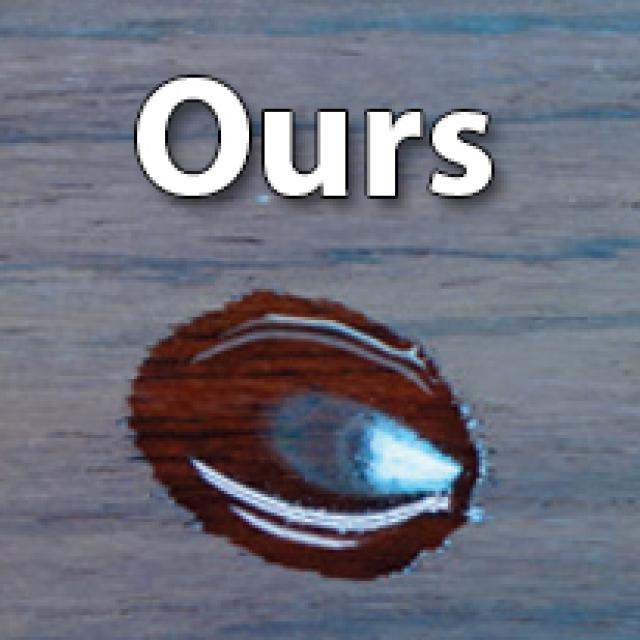 Ours-gludry_accelerator